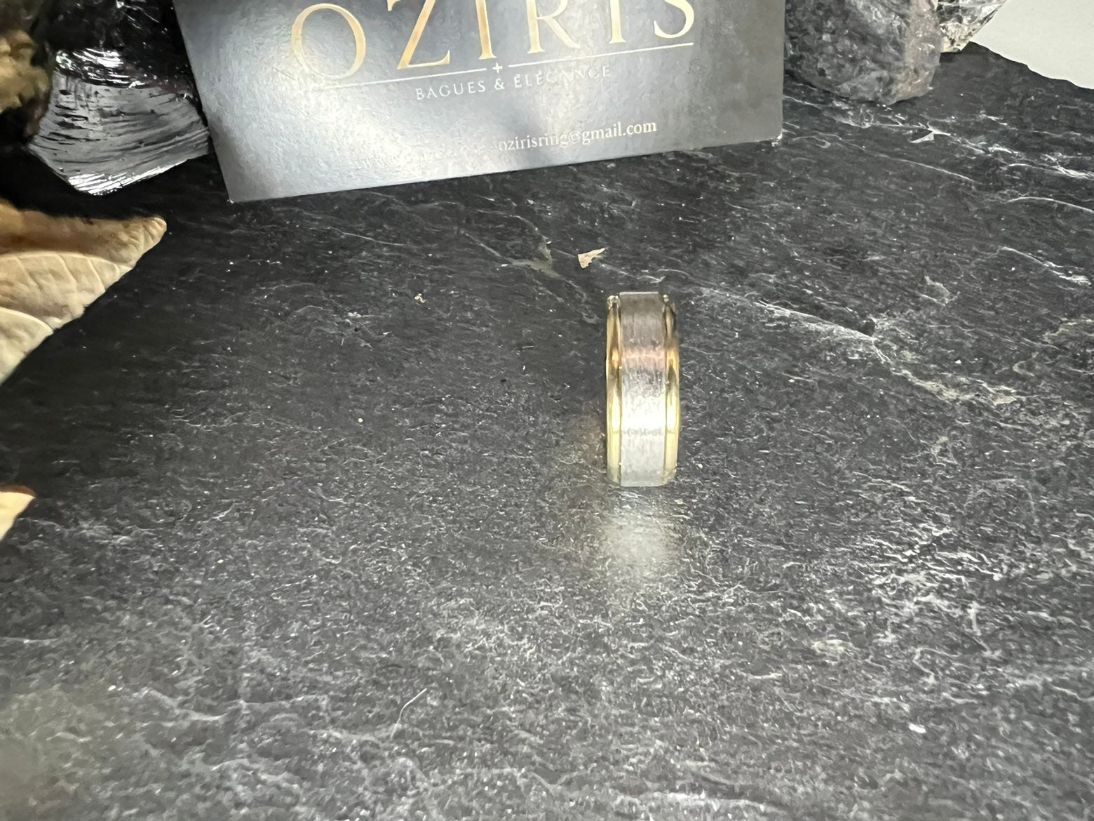 Alliance Bicolore Martelée – OZIRIS